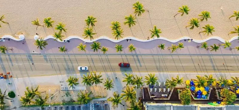 Aerial view of Miami Beach with palm trees along the boulevard