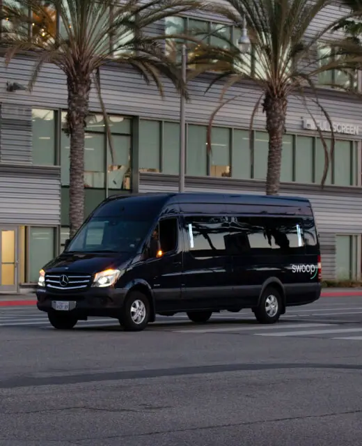 Black Sprinter van on a palm-lined street
