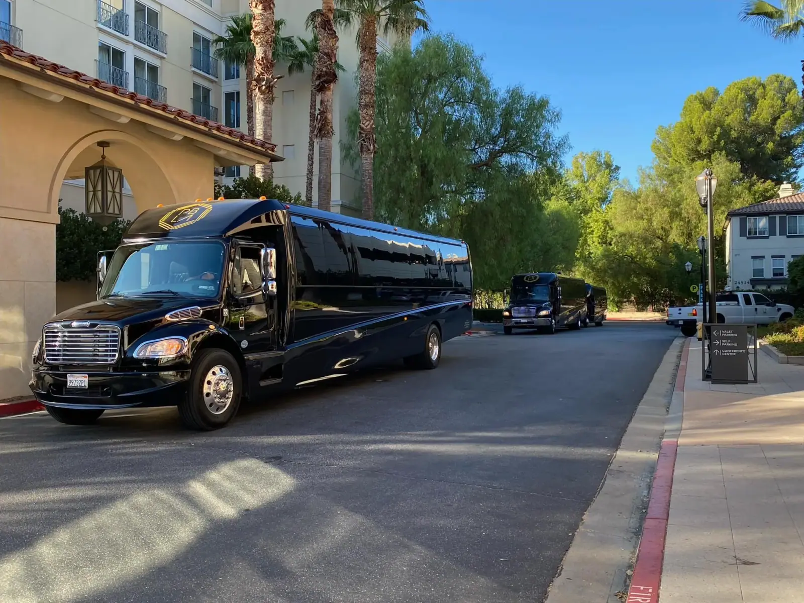Black party bus parked on a palm-lined street
