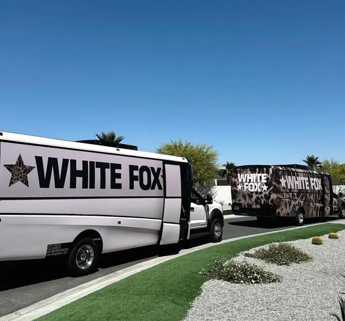 White Fox branded buses parked at a festival