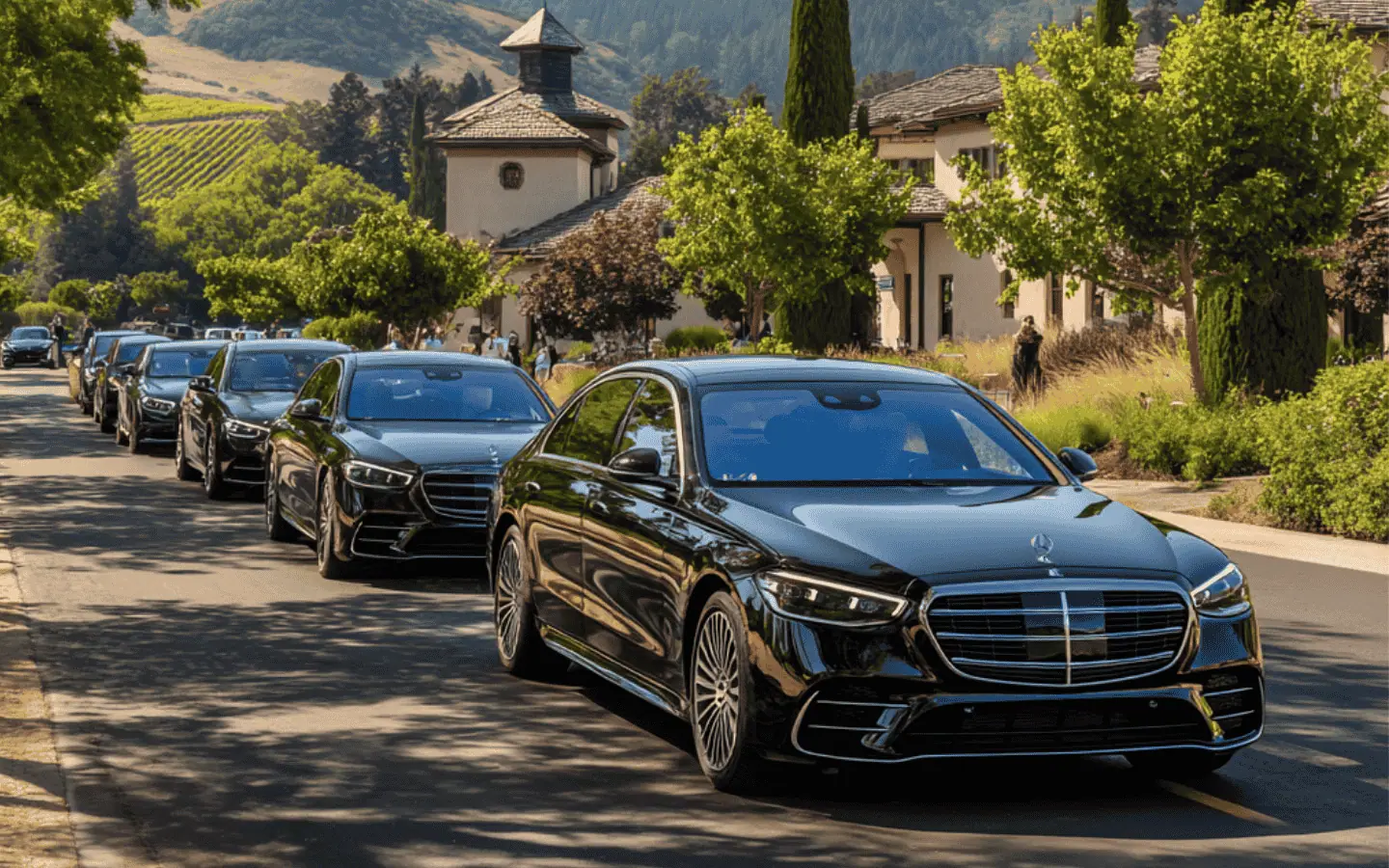 Black Mercedes sedans lined up at a vineyard estate