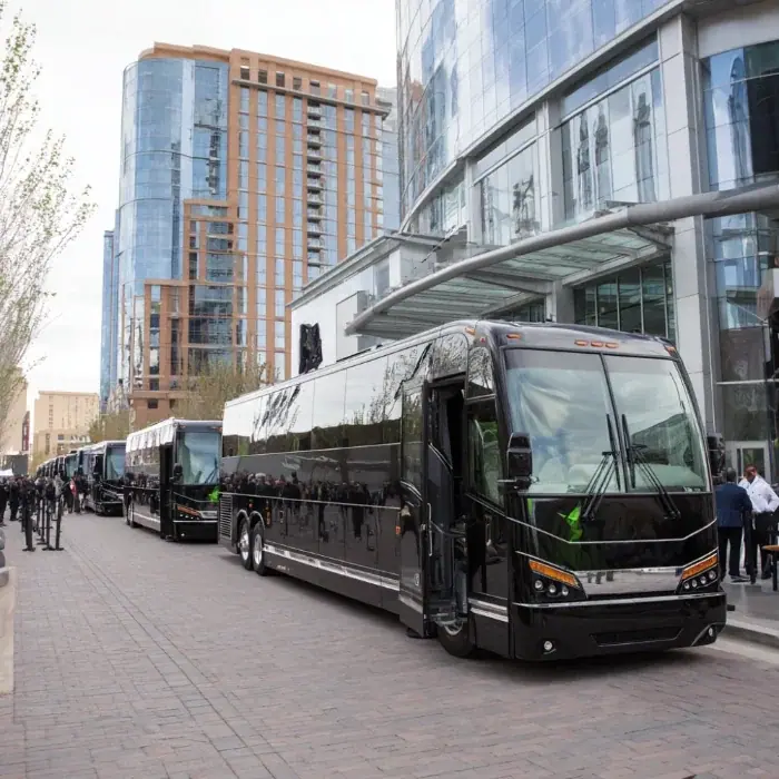 Black coach buses lined up on a downtown street