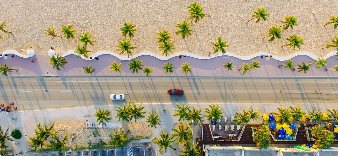 Aerial view of Miami Beach with palm trees along the boulevard