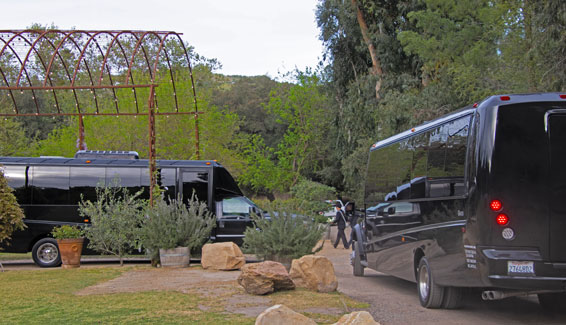 Swoop Busses at Wedding